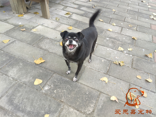 小白小黑 (5).jpg