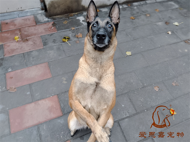 樂樂 (2).jpg
