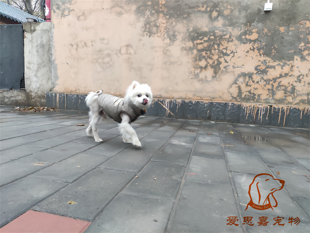 小白小黑 (2).jpg