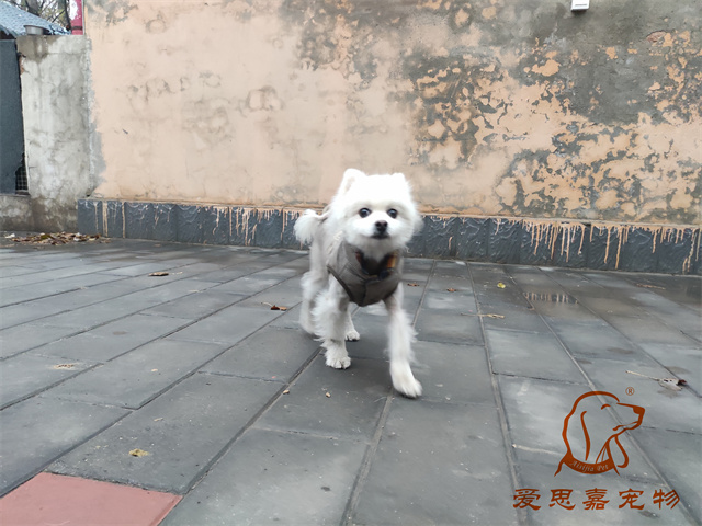 小白小黑 (3).jpg