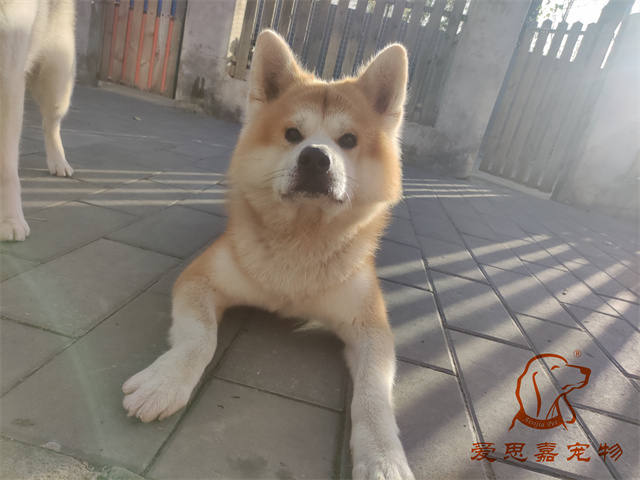 大熊小七 (1).jpg