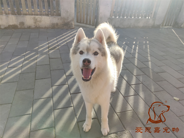 大熊小七 (2).jpg