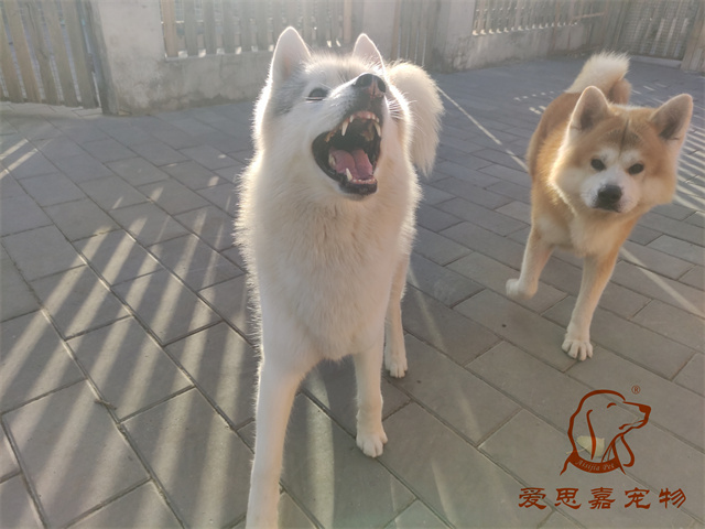 大熊小七 (3).jpg