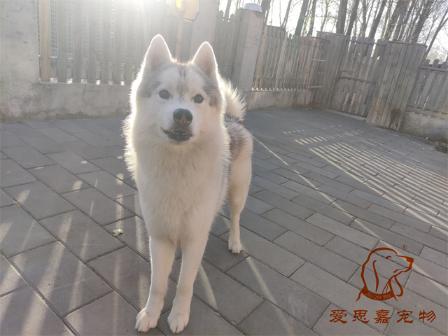 大熊小七 (4).jpg