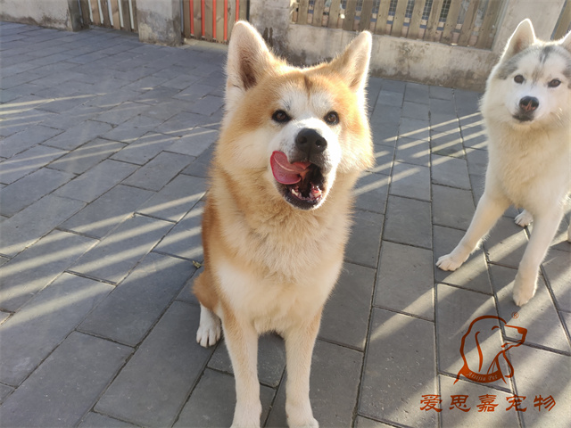 大熊小七 (5).jpg