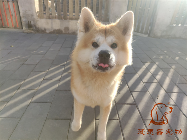 大熊小七 (6).jpg