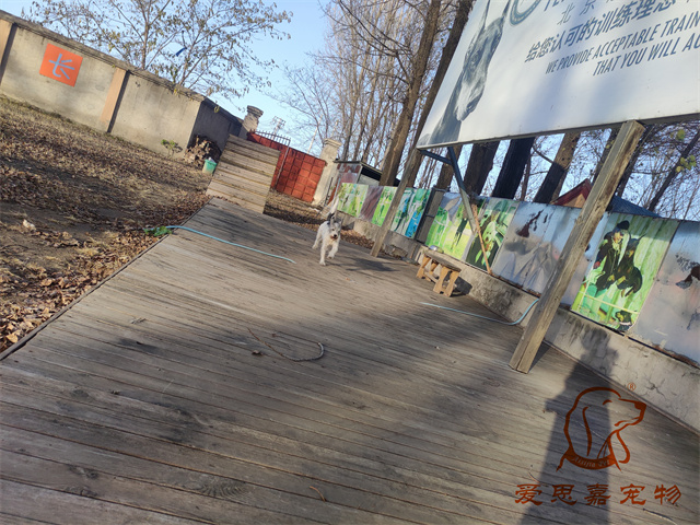 胖丫妞妞 (6).jpg