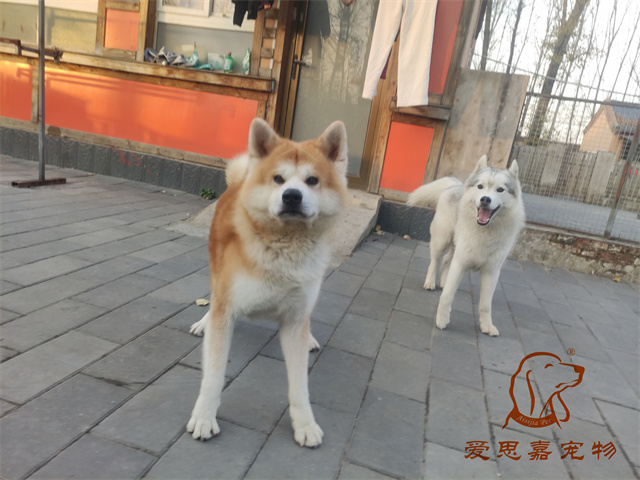 大熊小七 (1).jpg