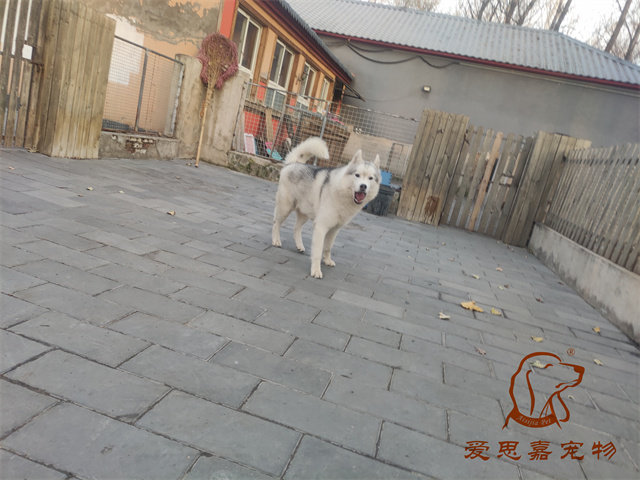 大熊小七 (2).jpg