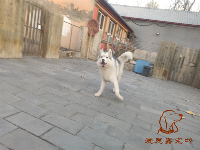 大熊小七 (3).jpg