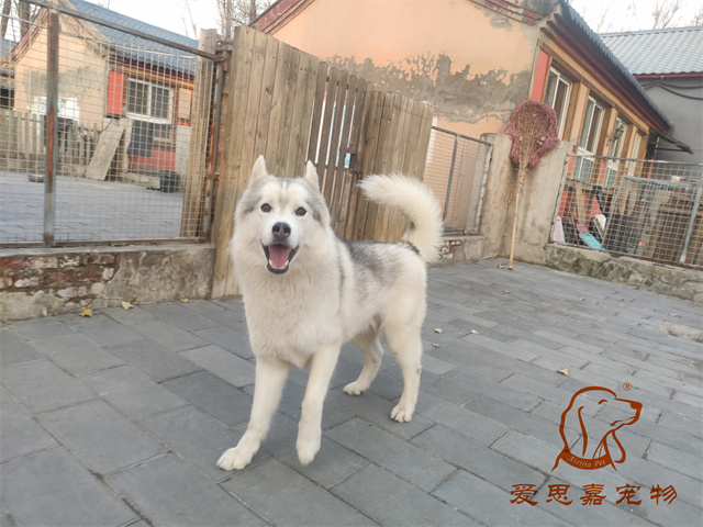 大熊小七 (4).jpg