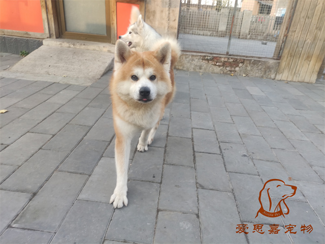 大熊小七 (5).jpg