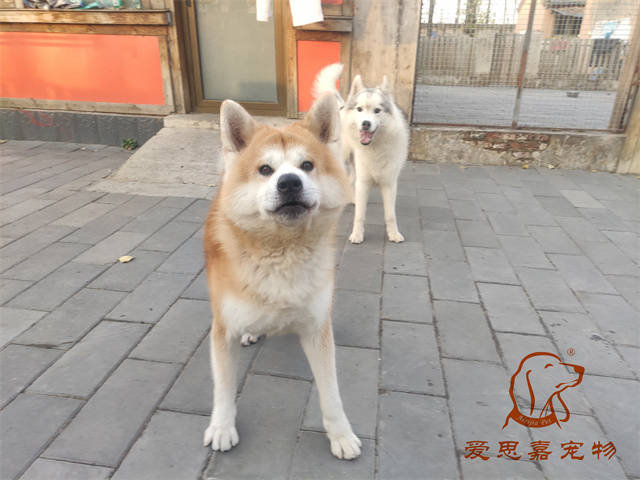 大熊小七 (6).jpg