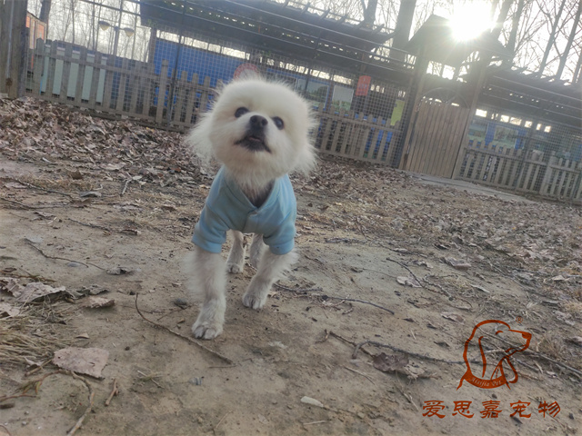 小白小黑 (2).jpg