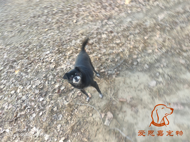 小白小黑 (3).jpg