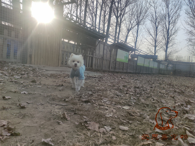 小白小黑 (6).jpg