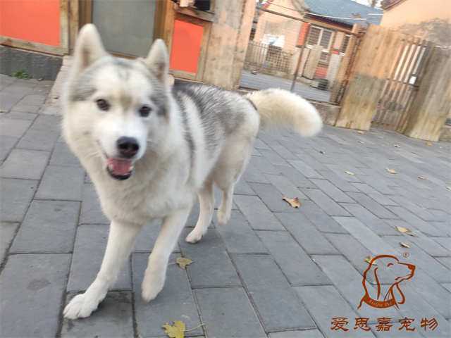 大熊小七 (1).jpg