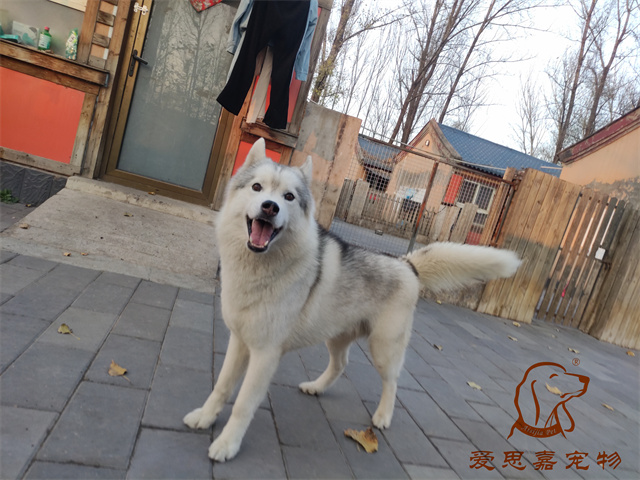 大熊小七 (2).jpg