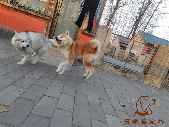 大熊小七 (3).jpg