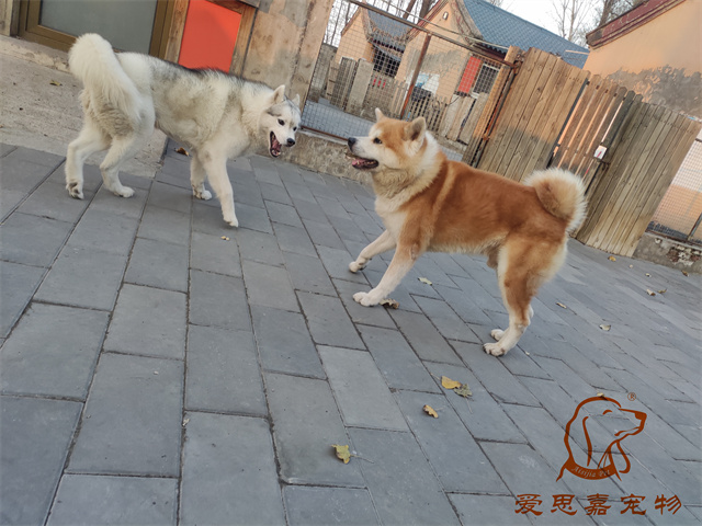 大熊小七 (4).jpg