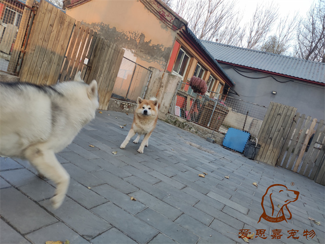 大熊小七 (5).jpg