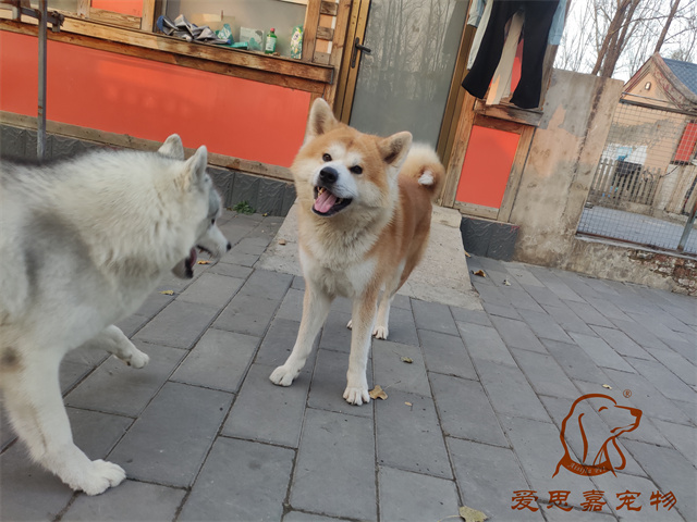 大熊小七 (6).jpg