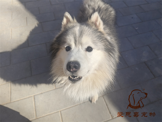 極光 (1).jpg