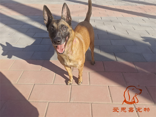 樂(lè)樂(lè) (2).jpg