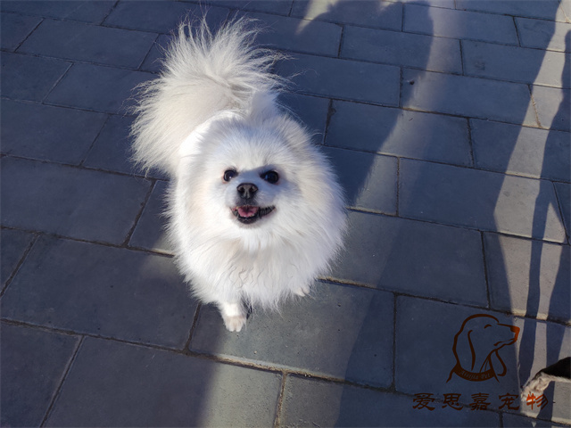 小白小黑 (5).jpg