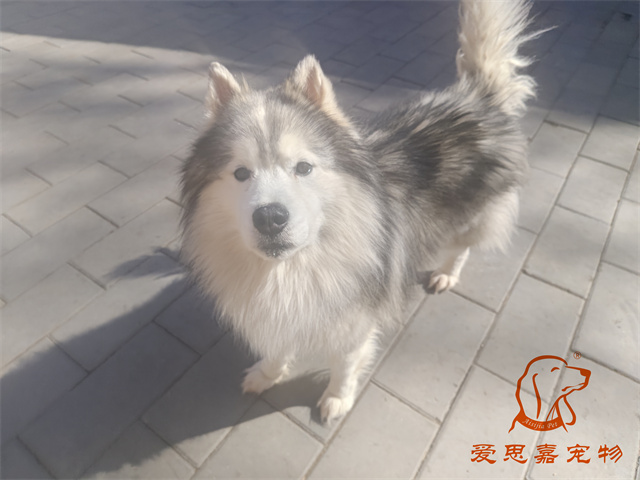 極光 (2).jpg