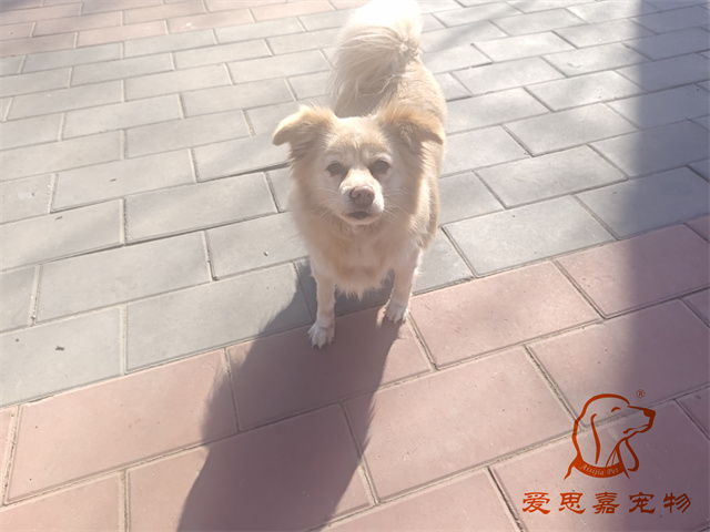 歐尼 (1).jpg