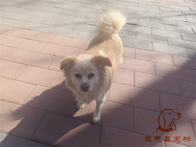 歐尼 (2).jpg