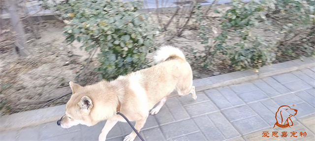 微信圖片_20240308174429.jpg