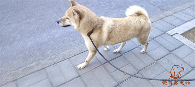 微信圖片_20240308174440.jpg