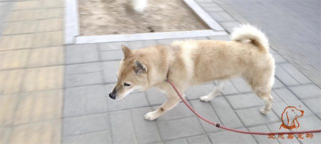 微信圖片_20240312174625.jpg
