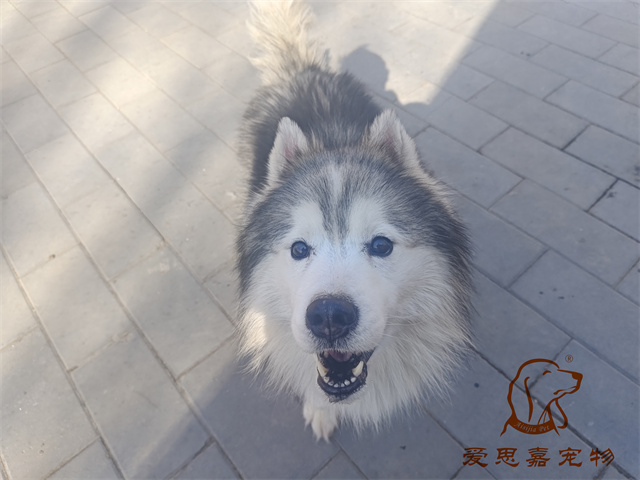 極光 (1).jpg