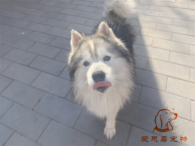 極光 (2).jpg