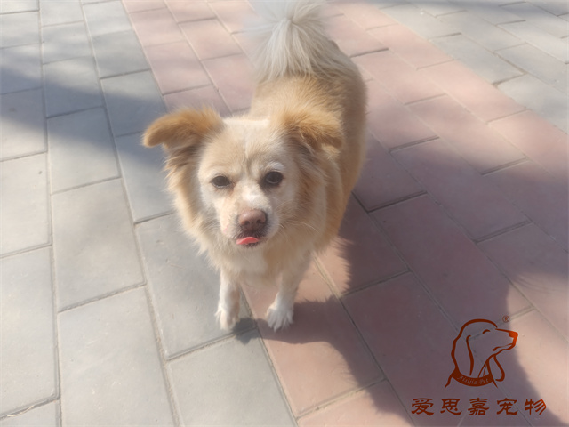 歐尼 (1).jpg