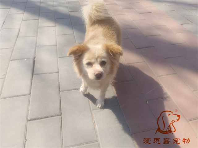 歐尼 (2).jpg