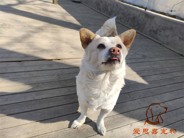 一哥.jpg