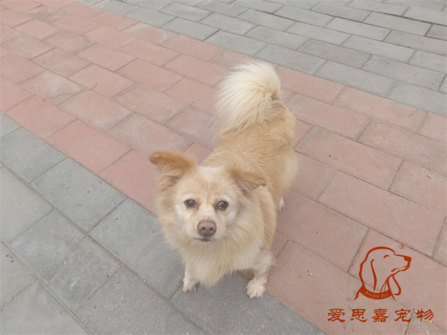 歐尼 (2).jpg