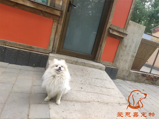 小白小黑 (1).jpg