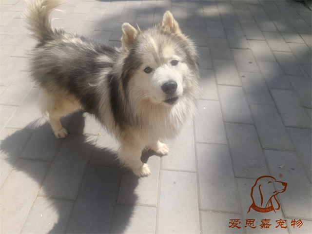 極光 (2).jpg