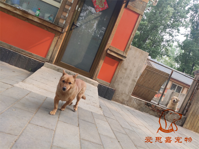 毛毛豆豆 (6).jpg