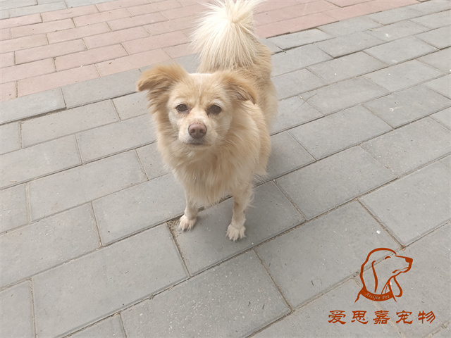 歐尼 (1).jpg