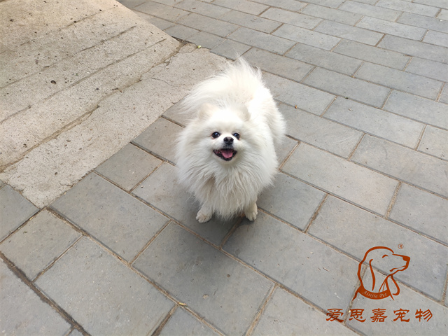 小白小黑 (2).jpg