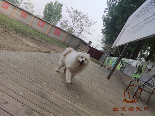 熊熊 (1).jpg