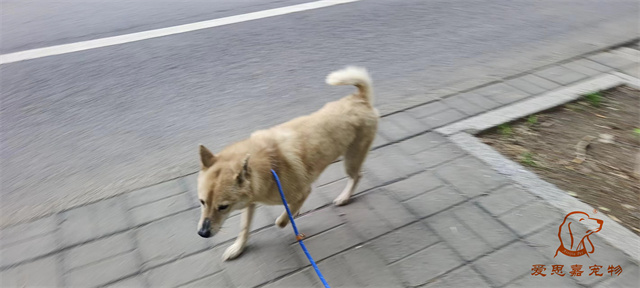 微信圖片_20240425180253.jpg