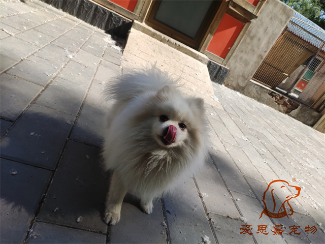 小白小黑 (2).jpg