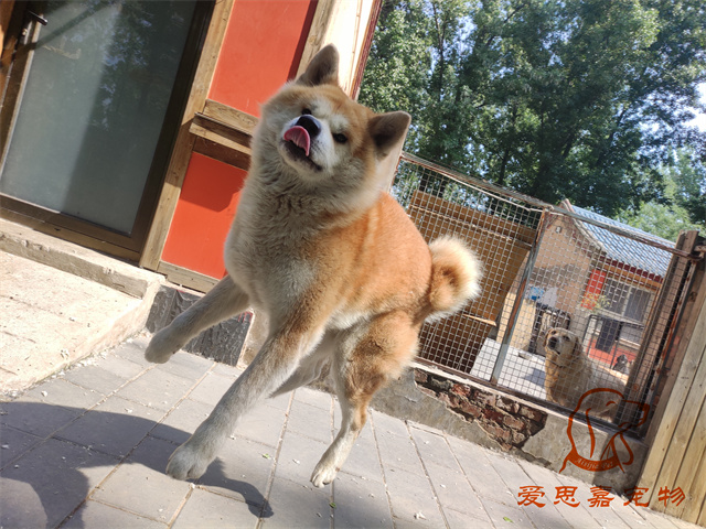 大熊小七 (2).jpg